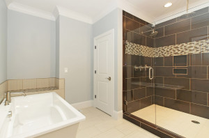 Master Bathroom Walk in Shower and Jacuzzi Tub