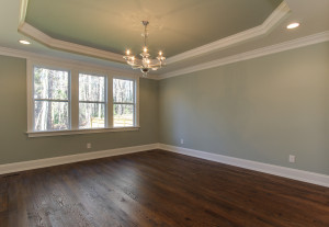 Dining Room with trey ceiling